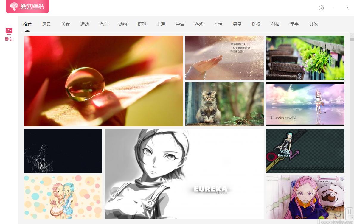 蘑菇壁纸下载,蘑菇壁纸,桌面工具,桌面美化,壁纸软件