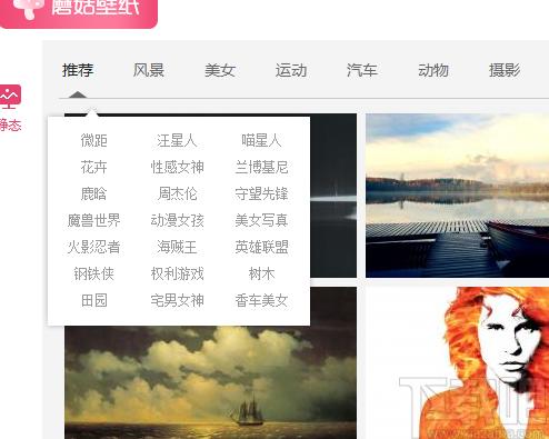 蘑菇壁纸下载,蘑菇壁纸,桌面工具,桌面美化,壁纸软件